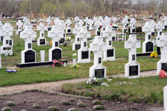 Į kapines — pagal politinę spalvą Į kapines — pagal politinę spalvą
