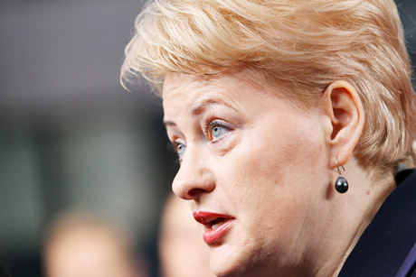 Prezidentė galimai pažeidė Konstituciją Prezidentė galimai pažeidė Konstituciją