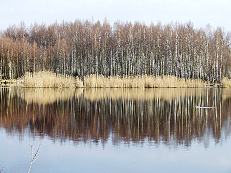 Artinasi debesuoti ir lietingi orai. Vis dažniau griaudės perkūnija Artinasi debesuoti ir lietingi orai. Vis dažniau griaudės perkūnija