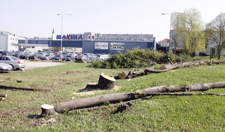 Prie „Maximos“ plėsis aikštelė Prie „Maximos“ plėsis aikštelė