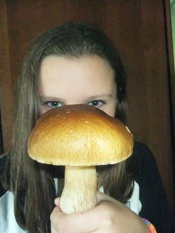 Kidelienės grybai Kidelienės grybai