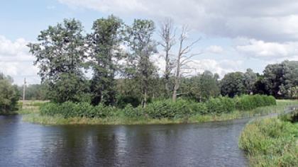 Brakonieriai tinklus statė dieną