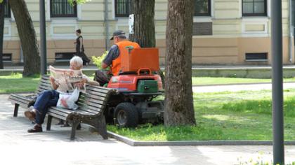 Šiauliuose prasidėjo šienapjūtė