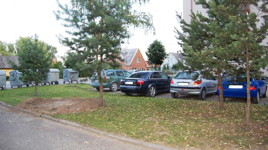 Miniatūra