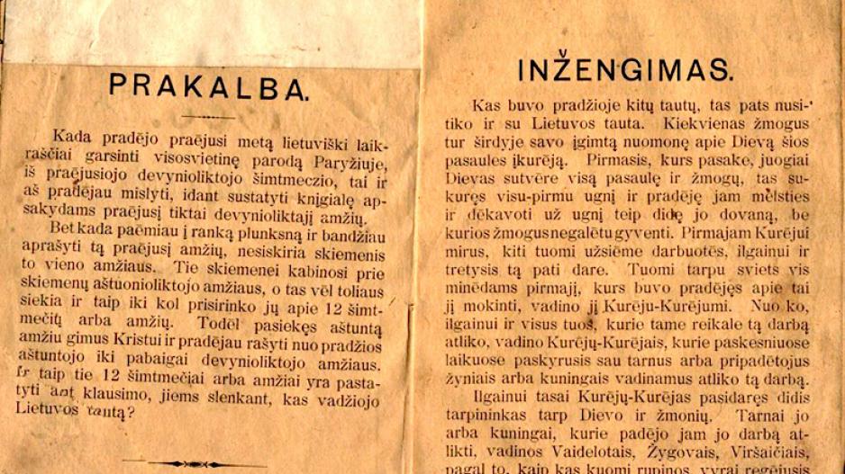 bielinis-knygap
