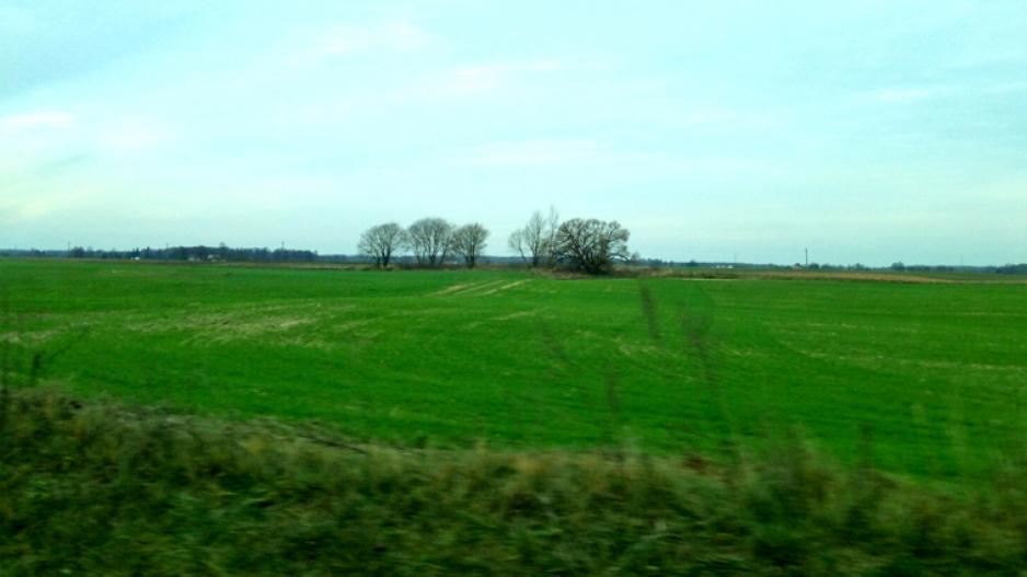 orams-neringavaranauskiene130