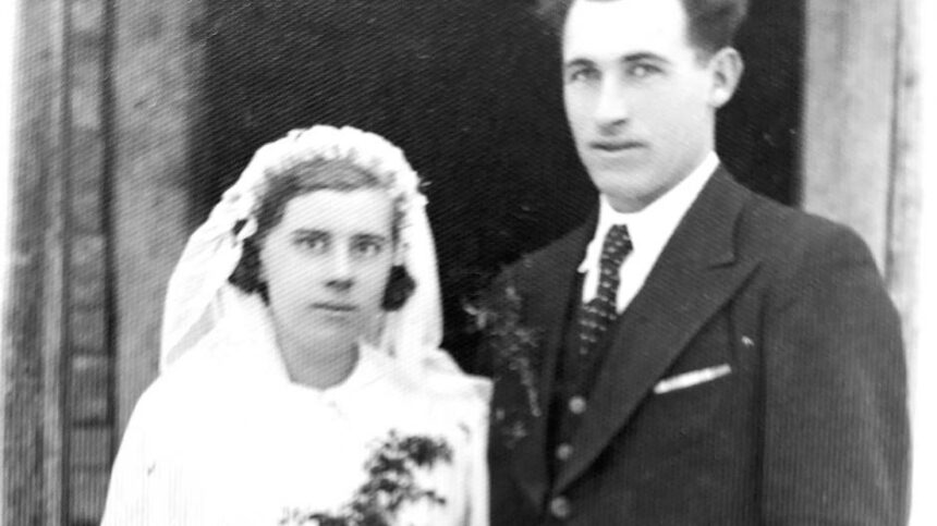 juliuselbietaeidukai