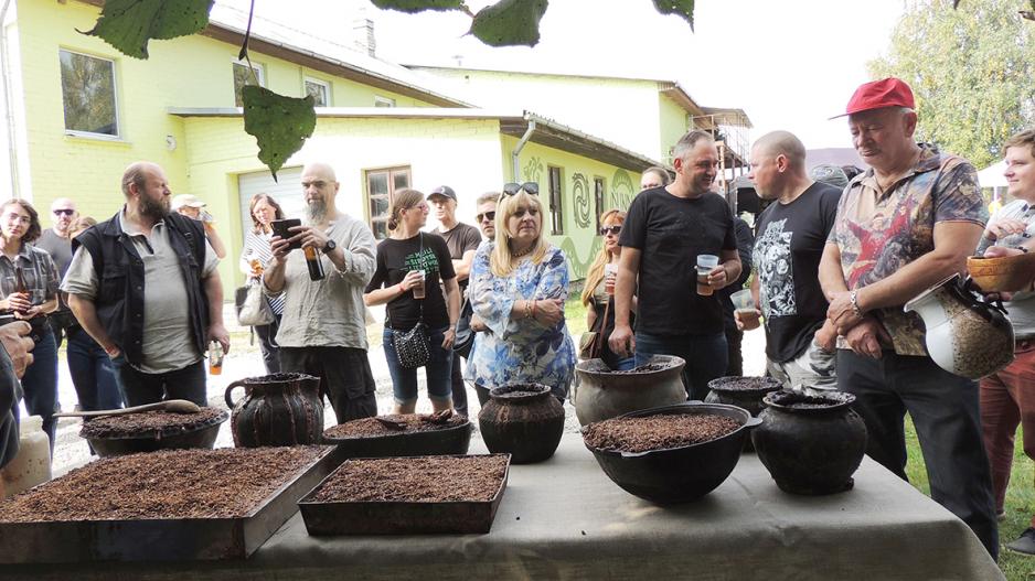 dundulisalausdarymas0