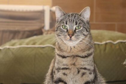 3150123966440738907809973805180442923978188n