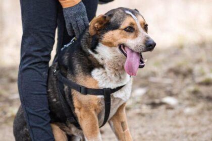 31520377611881670921256195269989736470721442n