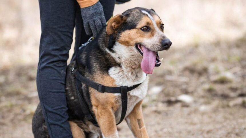 31520377611881670921256195269989736470721442n