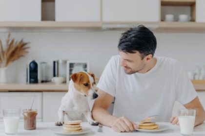 pagrindineiliustracijabirzietis