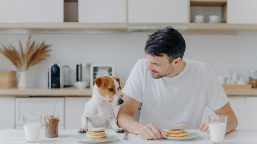 pagrindineiliustracijabirzietis