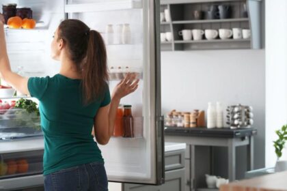 kiek-saldytuvas-sunaudoja-elektros