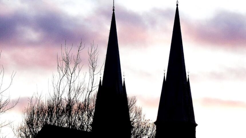 vileibaznyciabokstai