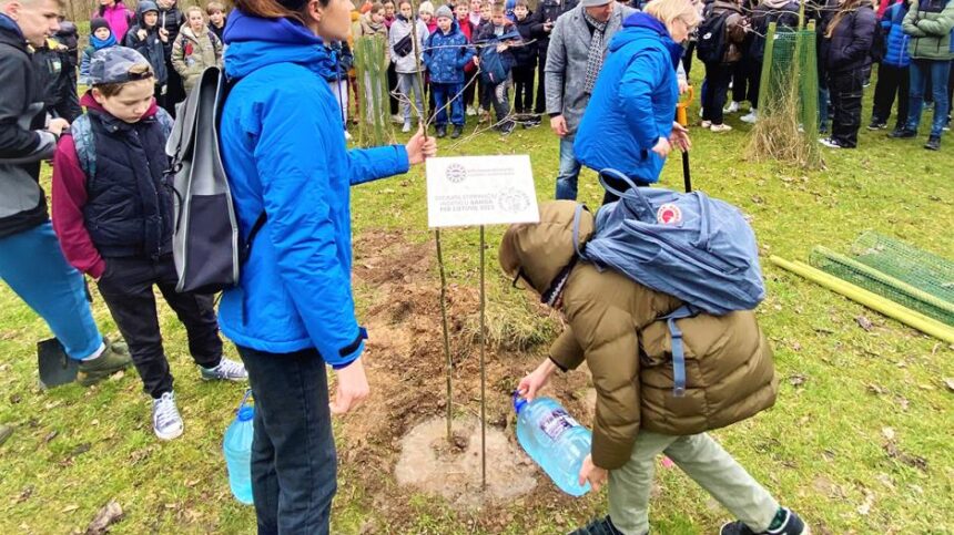 zygisazuoliukosodinimas