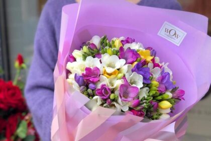 88pirkitegelesinternetuirleiskitejomsatkeliautitiesiaiijusunamlniuje