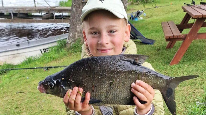 algirdascepaitiskadruota