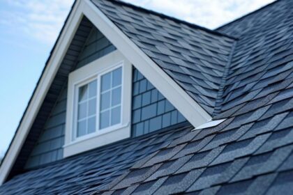 kokiamstoguitinkamiausiabituminedanga